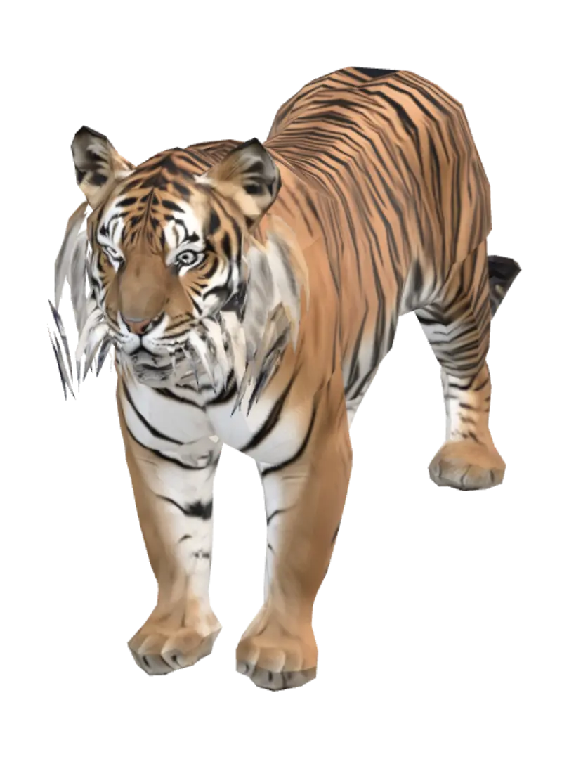 孟加拉虎 3D 模型